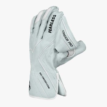 WicketKeeping Gloves